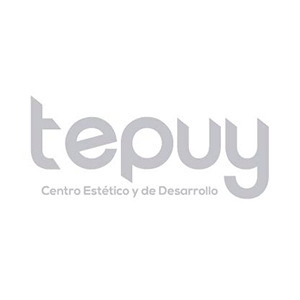 tepuy - logo